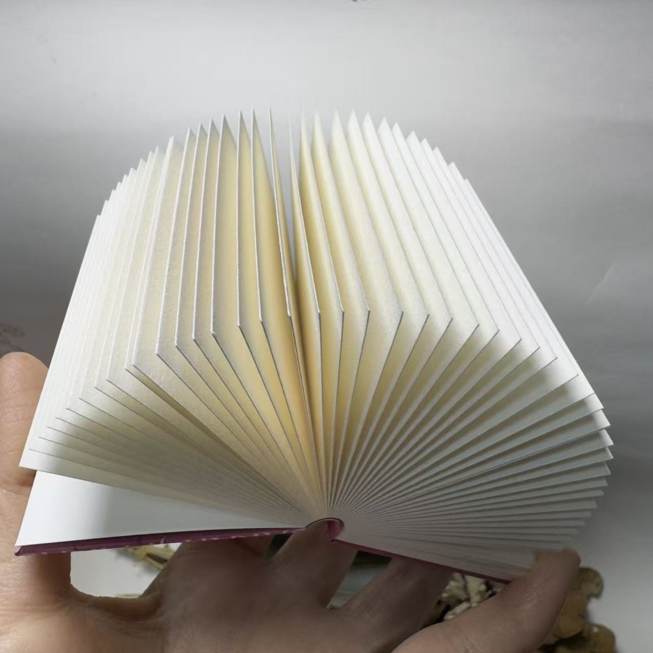 Custom Mini Blank Book