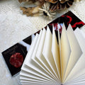 Midnight Romance (5 book series)