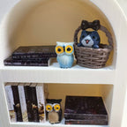 Arched Bookshelf with Mini Books(Includes random 5 small ornaments)